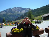 Vedi la foto