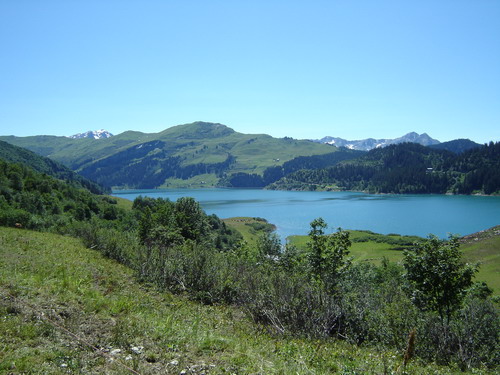 Vedi le altre foto