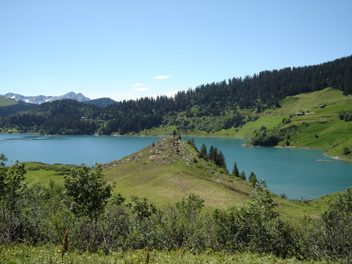 Vedi le altre foto