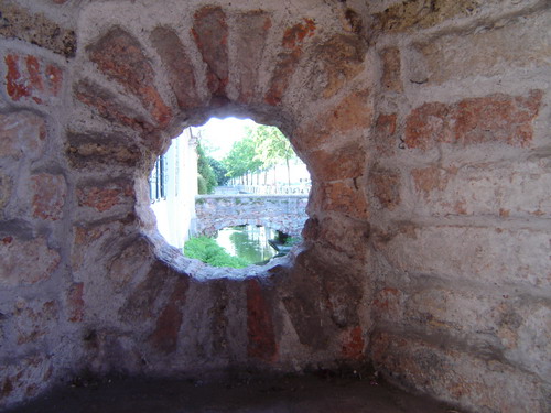 Vedi le altre foto