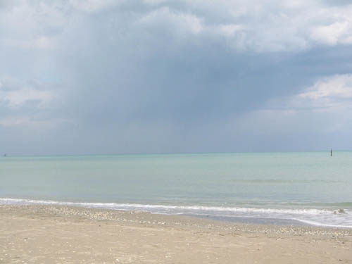 Vedi le altre foto