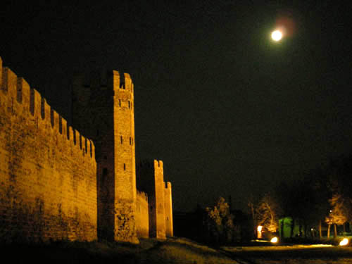 Vedi le altre foto