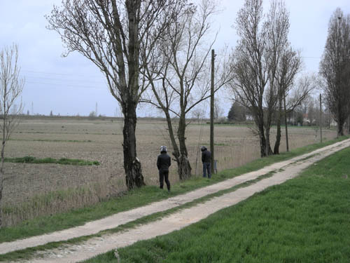 Vedi le altre foto