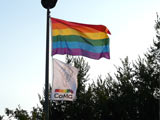 Vedi la foto